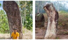 Menhir Maek Tiang Peradaban yang Selaras dengan Semesta