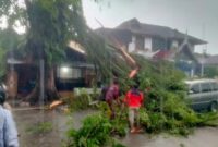 Sebuah mobil tertimpa pohon tumbang di Ulak Karang, Kota Padang. [foto: BPBD Padang]