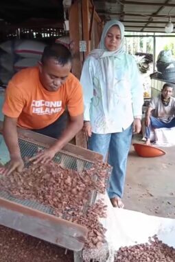 Harga pinang di Kabupaten Limapuluh Kota anjlok. Salah satunya pinang iris.‼️