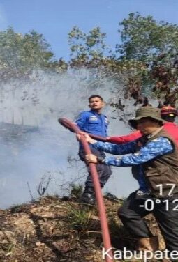 BPBD Sebut Karhutla di Limapuluh Kota Akibat Buka Lahan