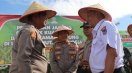 Wakil Wali Kota Payakumbuh Elzadaswarman bersama Kapolres AKBP Ricky Ricardo dan jajaran saat menghadiri kegiatan penanaman jagung serentak kuartal III di Kelurahan Koto Panjang, Rabu (9/7/2025).