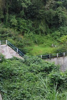 Embung Tidak Terawat dan Penuh Semak Belukar di Limapuluh Kota