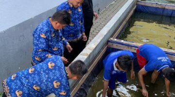 Warga Binaan Lapas Tanjung Pati Pindahkan Bibit Lele, Dukung Ketahanan Pangan Nasional