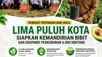 Perkuat Pertanian dari Hulu, Lima Puluh Kota Siapkan Kemandirian Bibit dan Ekspansi Perkebunan 6.000 Hektare