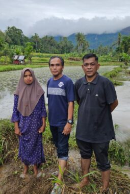 Batang Sandir di Limapuluh Kota Mengamuk, Rusak Padi, Lubuk Ikan Larangan dan Pipa Pamsimas