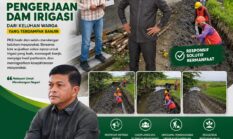 Turun Langsung! Afviandi Tinjau Dam Irigasi Padang Alai Bodi