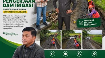 Turun Langsung! Afviandi Tinjau Dam Irigasi Padang Alai Bodi