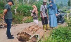 Tak Ingin Hanya Terima Laporan, Fitrayanto Turun Langsung Tinjau Jalan Persawahan yang Ambles