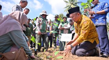 Payakumbuh Tanam 3.000 Bibit Pisang Barangan, Perkuat Pasokan Buah Lokal untuk Program MBG