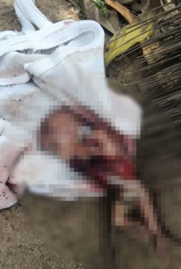 Warga Guguak Dikejutkan Penemuan Janin di Belakang Rumah, Polisi Lakukan Penyelidikan