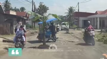 Pohon Pisang Jadi Simbol Protes, Jalan Rusak di Lima Puluh Kota Kian Mempermalukan Kinerja Pemkab