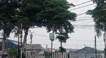 Kabut Asap Selimuti Payakumbuh dan Limapuluh Kota, Warga Keluhkan Mata Perih hingga Sesak Napas
